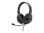 Preview: Headset Trust HS-250 USB - Ohrumschließend