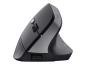 Preview: Maus Trust Bayo II wireless black