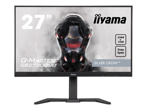 TFT27 68.5cm Iiyama G-Master GB2730QSU-B5 2k Höhe LS