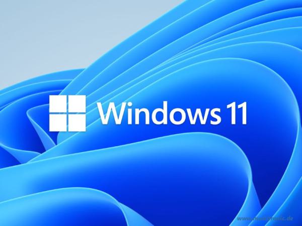 Windows 11 Pro 64Bit